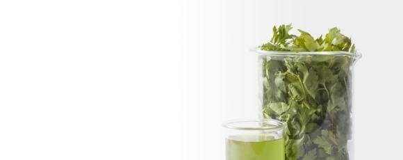 Herbal medicine making