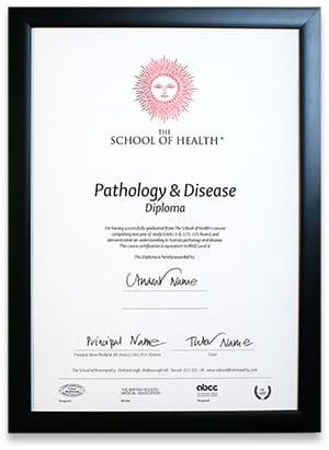 P&D Certificate P&D Certificate
