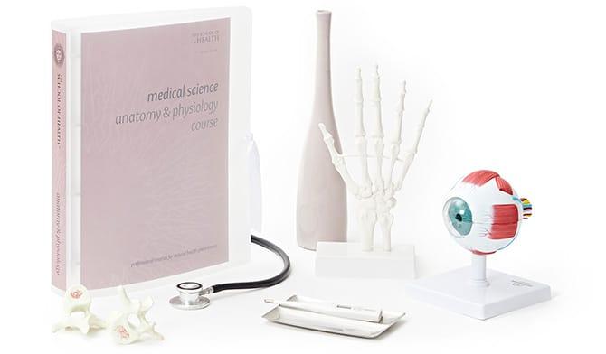 Anatomy & Physiology Online Course