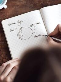 Iridology drawing