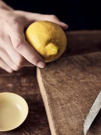 Lemon in hand 1 LR
