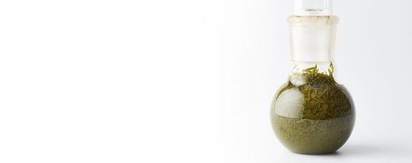 Homeopathy Intro into Practice