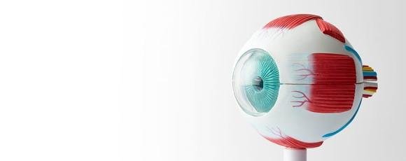 Iridology
