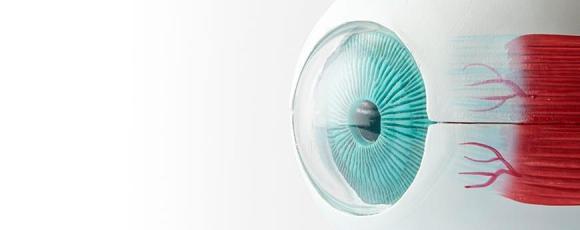 Iridology