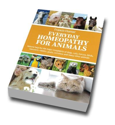 Homeopathy for Animals Homeopathy for Animals