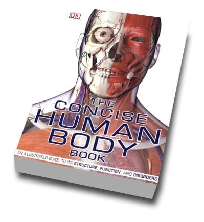 Concise Human Body
