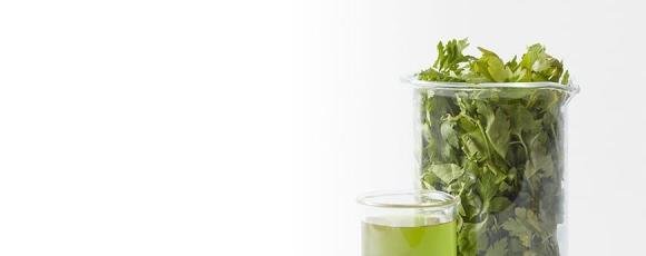 Herbs for home